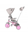 Tricicleta pentru copii, Lucky Crew, multifunctionala, Grey &