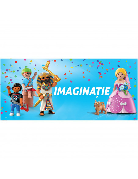 Playmobil - Printesa Florilor De Gheata,9351