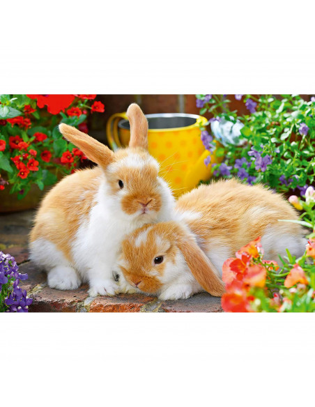 Puzzle Porcusor De Guinea Si Iepuras, 2X12 Piese,RVSPC05144