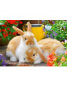 Puzzle Porcusor De Guinea Si Iepuras, 2X12 Piese,RVSPC05144