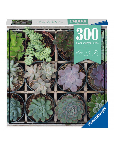 Puzzle Plante Suculente, 300 Piese,RVSPA12967