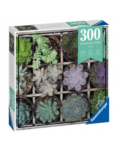Puzzle Plante Suculente, 300 Piese,RVSPA12967