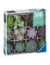 Puzzle Plante Suculente, 300 Piese,RVSPA12967