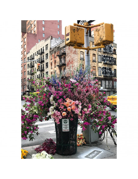 Puzzle Flori In New York, 300 Piese,RVSPA12964