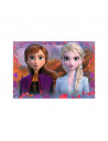 Puzzle Frozen II, 2X12 Piese,RVSPC05009