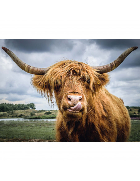 Puzzle Bovina, 300 Piese,RVSPA13273
