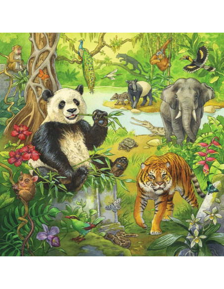 Puzzle Aventuri In Jungla, 3X49 Piese,RVSPC05180