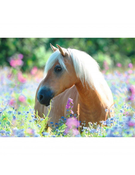Puzzle Calut Pe Camp De Flori, 300 Piese,RVSPC13294