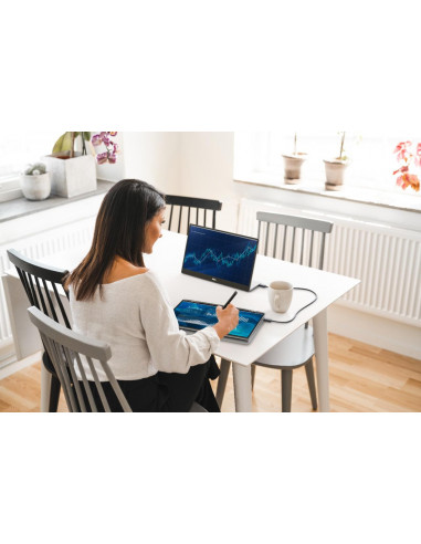 Monitor LED Dell C1422H, 14inch, IPS FHD, 6ms, 60Hz, alb,C1422H