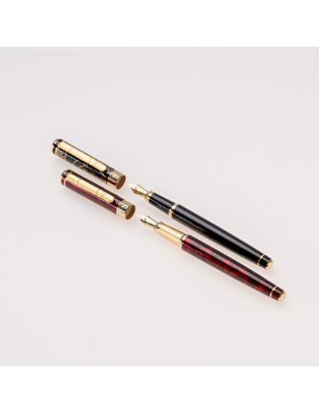 SET STILOU+CALIMARA+ETUI PICASSO 9902N,9902N