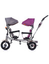 Tricicleta gemeni Chipolino 2Play lilac platinum,TRK2P0225LP