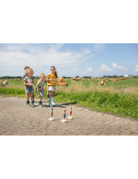 Hraneste pasarile, joc de aruncare la tinta, BS Toys,GA382