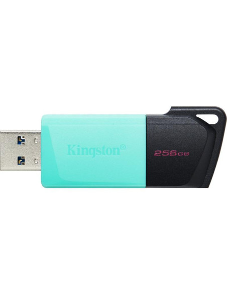 MEMORY DRIVE FLASH USB3.2/256GB DTXM/256GB KINGSTON,DTXM/256GB