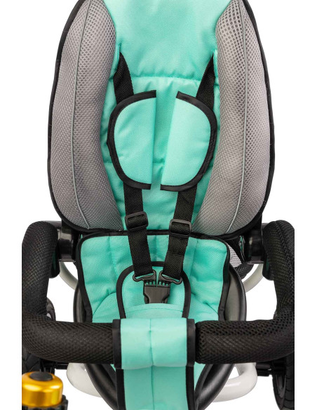 Tricicleta pliabila cu scaun reversibil Toyz WROOM