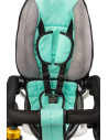 Tricicleta pliabila cu scaun reversibil Toyz WROOM