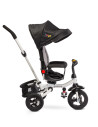 Tricicleta pliabila cu scaun reversibil Toyz WROOM