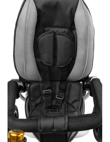 Tricicleta pliabila cu scaun reversibil Toyz WROOM
