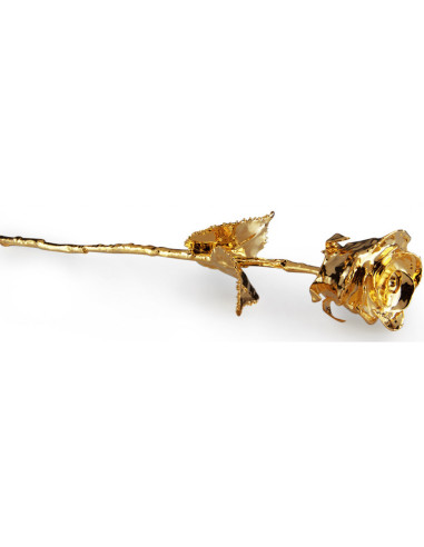 Trandafir placat cu aur 24k,MH-03261.GO