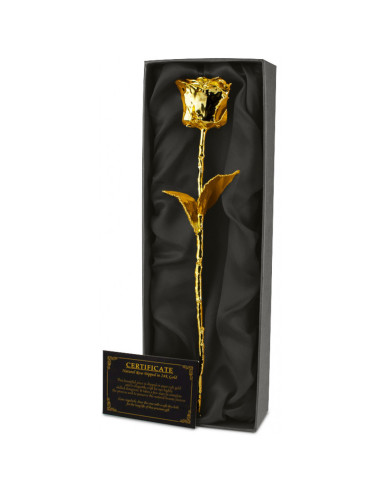 Trandafir placat cu aur 24k,MH-03261.GO