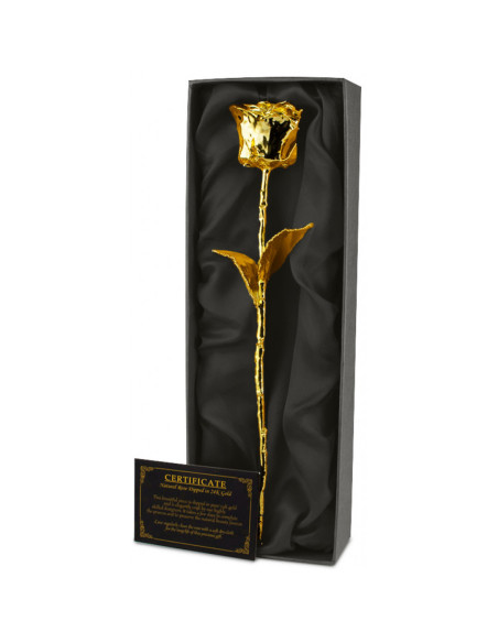 Trandafir placat cu aur 24k,MH-03261.GO
