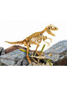 Experimentele micului geniu - Kit paleontologie T-Rex,L81103