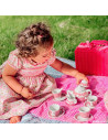 Setul meu de ceai pentru picnic,T0151