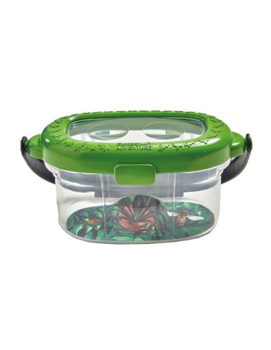 Observatorul pentru insecte,E2061