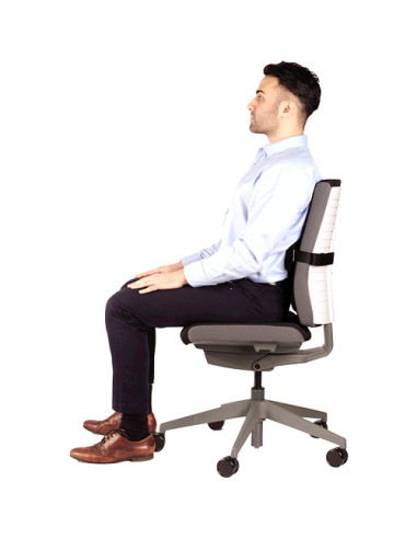 SUPORT ERGONOMIC PENTRU SPATE I-SPIRE NEGRU FELLOWES,FE8042301