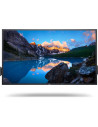 DL MONITOR 65 C6522QT 3840x2160, "C6522QT" (include TV