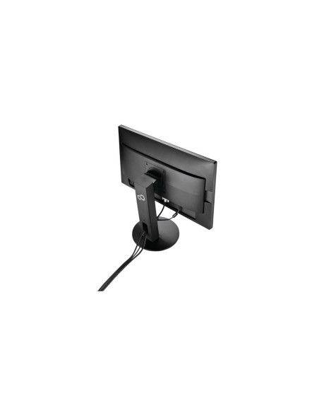 FUJITSU DISPLAY B24-8 TS Pro, EU Black 36 m-cy C&R