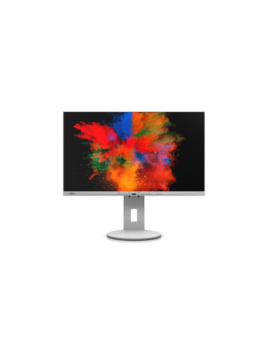 Fujitsu DISPLAY P2410 TE, EU marble gray, "S26361-K1699-V140"