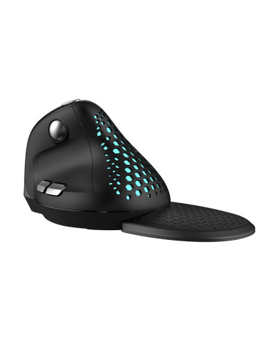 MOUSE DELUX, PC sau NB, wireless, 2.4GHz, BT5.0, optic, 4000