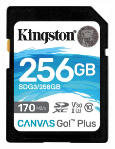 MEMORY SDXC 256GB UHS-I/SDG3/256GB KINGSTON,SDG3/256GB