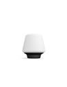 LAMPA DE MASA PHILIPS HUE WELLNESS "000008718696175057"