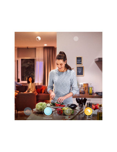 LAMPA DE MASA PHILIPS HUE WELLNESS "000008718696175057"