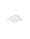 Panou LED RGB inteligent Philips Hue Sur