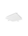 Panou LED RGB inteligent Philips Hue Sur