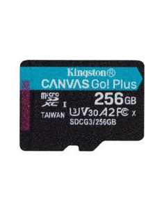 MEMORY MICRO SDXC 256GB UHS-I/SDCG3/256GBSP