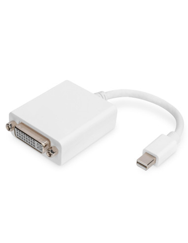 DIGITUS adaptor cable mini displayPort St - DVI-D Bu 24+5