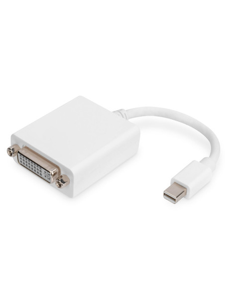 DIGITUS adaptor cable mini displayPort St - DVI-D Bu 24+5