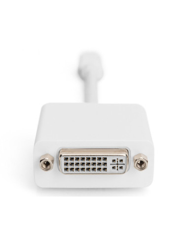 DIGITUS adaptor cable mini displayPort St - DVI-D Bu 24+5