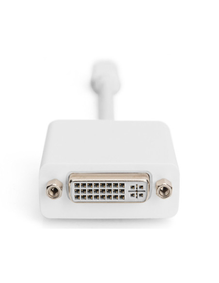 DIGITUS adaptor cable mini displayPort St - DVI-D Bu 24+5