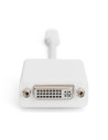 DIGITUS adaptor cable mini displayPort St - DVI-D Bu 24+5