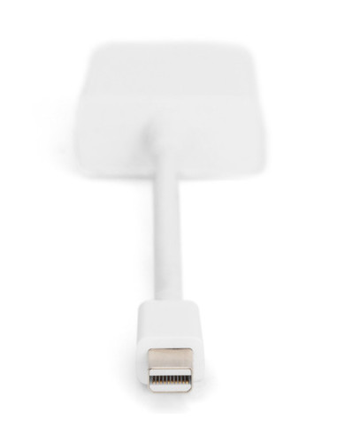 DIGITUS adaptor cable mini displayPort St - DVI-D Bu 24+5