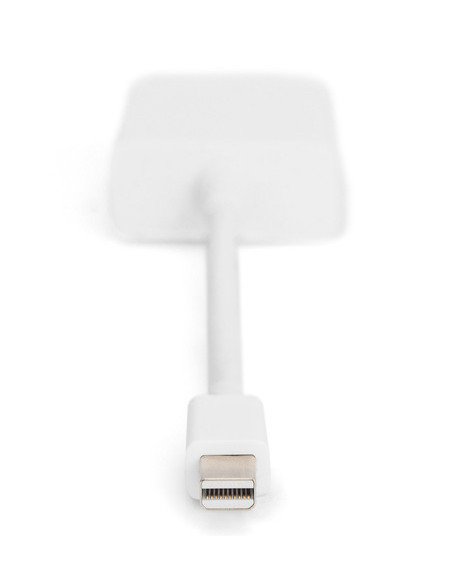 DIGITUS adaptor cable mini displayPort St - DVI-D Bu 24+5
