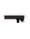 Centris Hue 2-spot black special form, "000008718696175989"