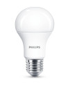 LED 100W A60 E27 CW FR ND 2SRT6, "000008718699770327" (include