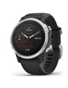Smartwatch Garmin Fenix 6S Silver Black, "PHT15180"(include TV