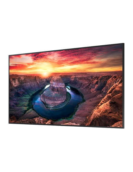 Ecran profesional Samsung QM55B, "LH55QMBEBGCXEN" (include TV