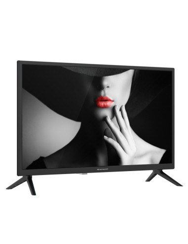 LED TV DIAMANT 24HL4300H/C, 24" D-LED, HD Ready (720p) Very